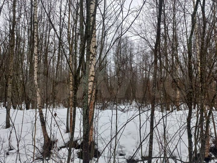 Участок 13,2 сот. (ИЖС)