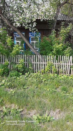 Дом 29 м² на участке 25 сот.