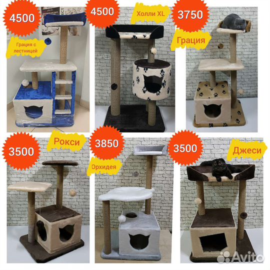Когтеточки для кошек