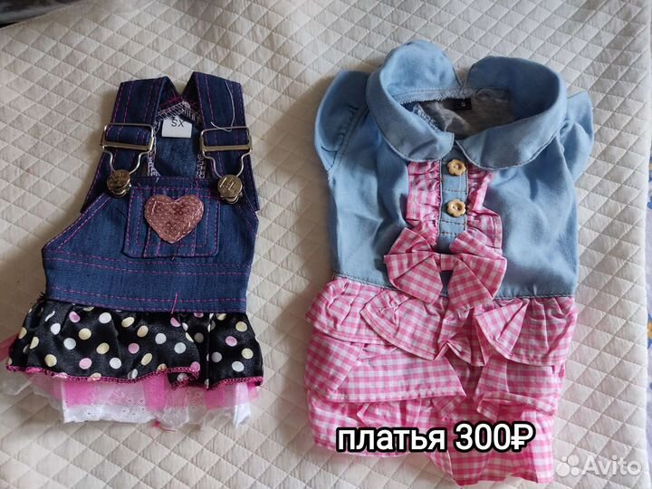 Ликвидация склада одежда для собак мелких пород