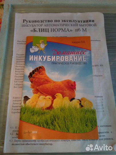 Инкубатор блиц norma