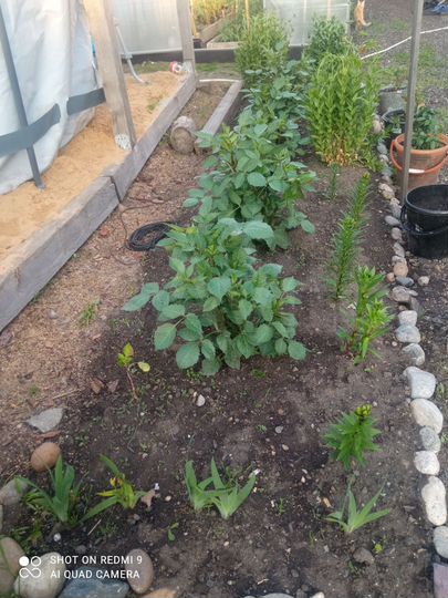 Дом 38 м² на участке 6,7 сот.