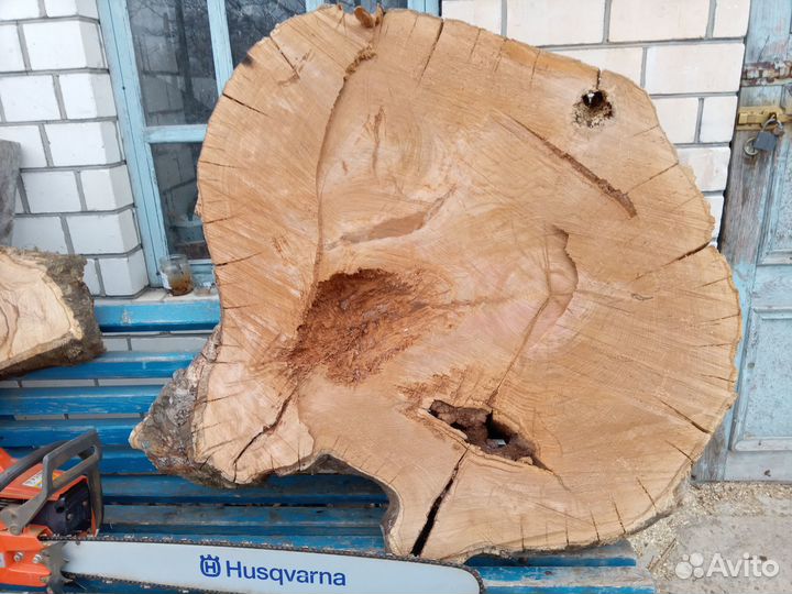200 лет торцовый спил дуба
