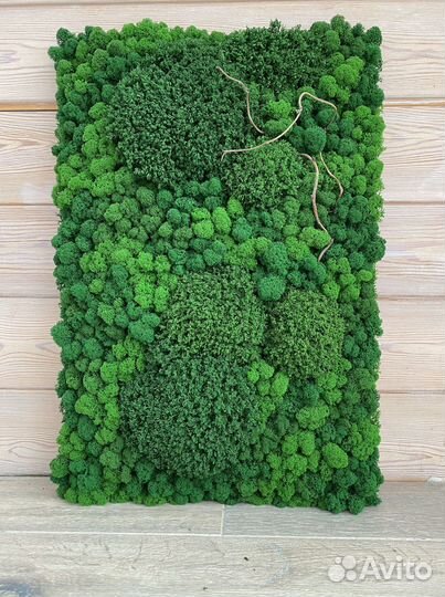 Панели из стабилизированного мха