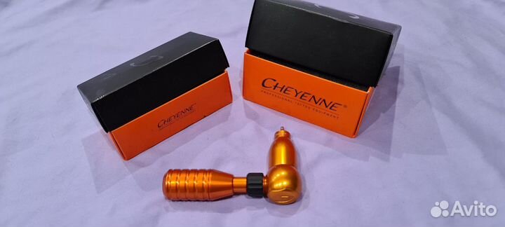 Cheyenne hawk thunder