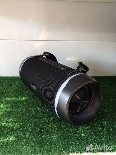 Муз, колонка Ginzzo 