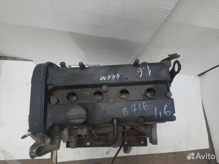 Ford fusion двигатель 1,6
