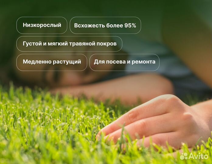 Травосмесь Универсальная