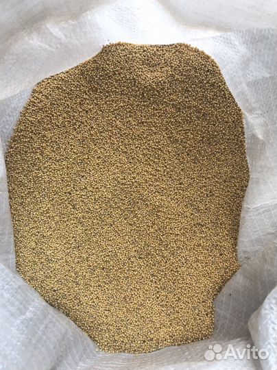 Горчица белая, семена Сидераты Медоносы