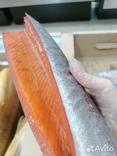 Рыба горячего копчения, холодного копчения