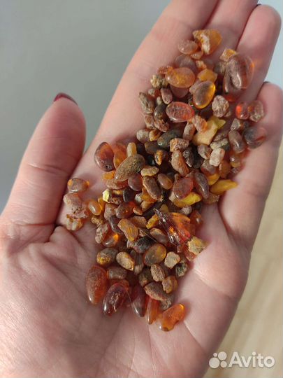 Балтийский янтарь