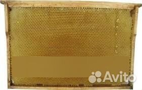 Сушь для пчел