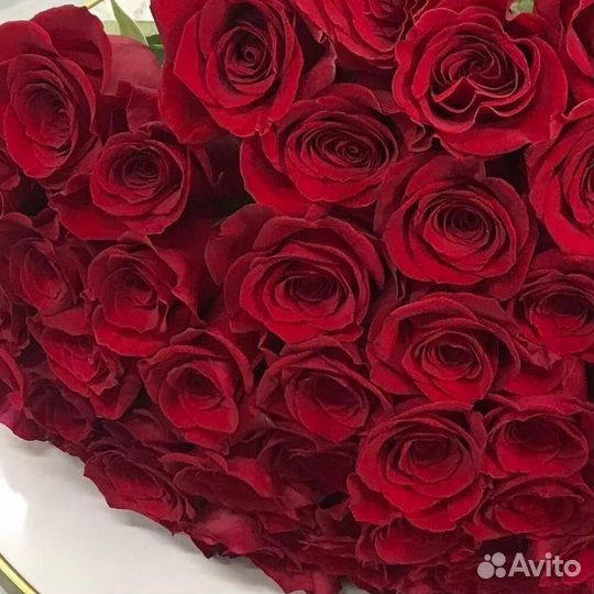 Розы 51 штука