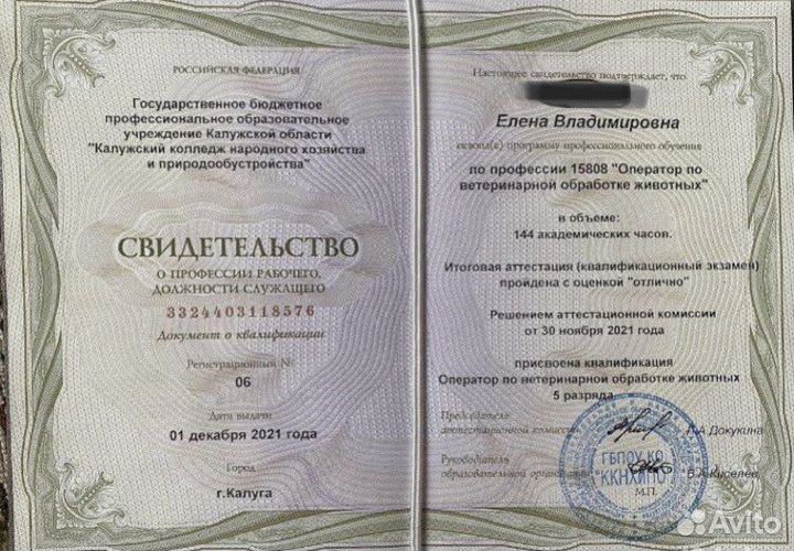 Профессиональная передержка собак (зоогостиница)