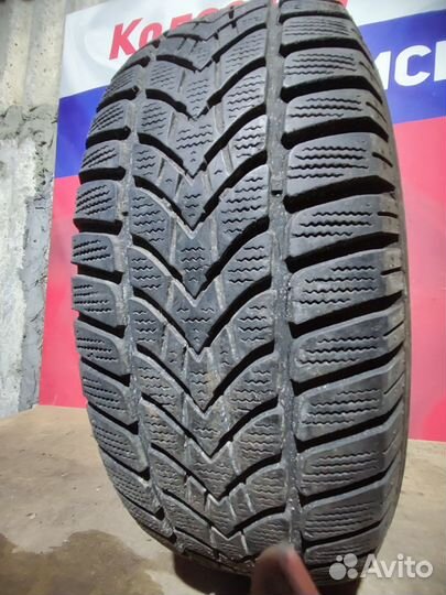 Dunlop SP Winter Sport 4D 195/65 R15