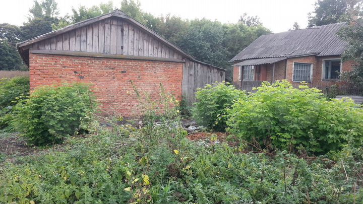 Дом 100 м² на участке 45 сот.