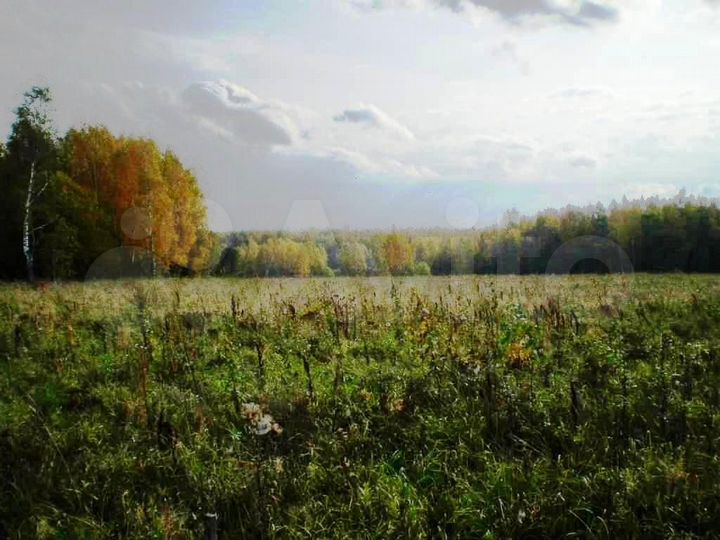 Участок 4,89 га (СНТ, ДНП)