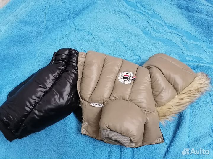 Комбинезон для маленькой собаки