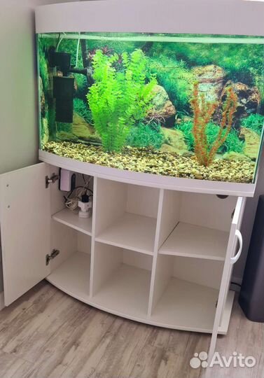 Аквариум с тумбой 250л