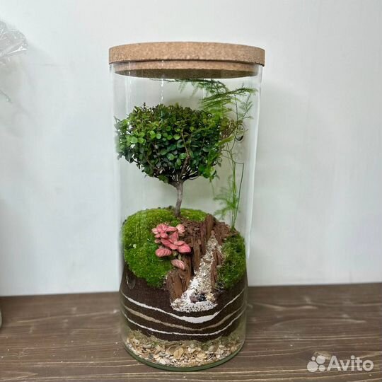 Флорариум Neopure Эрраи Л большой