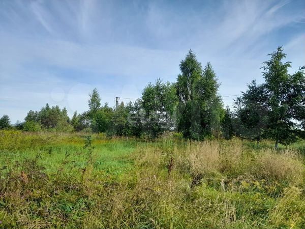 Участок 32 сот. (СНТ, ДНП)