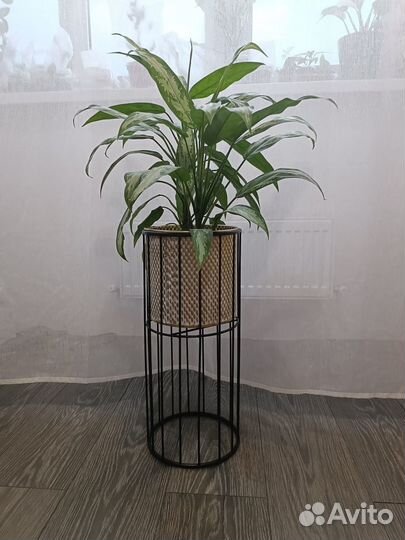 Кашпо для цветов и растений, напольное