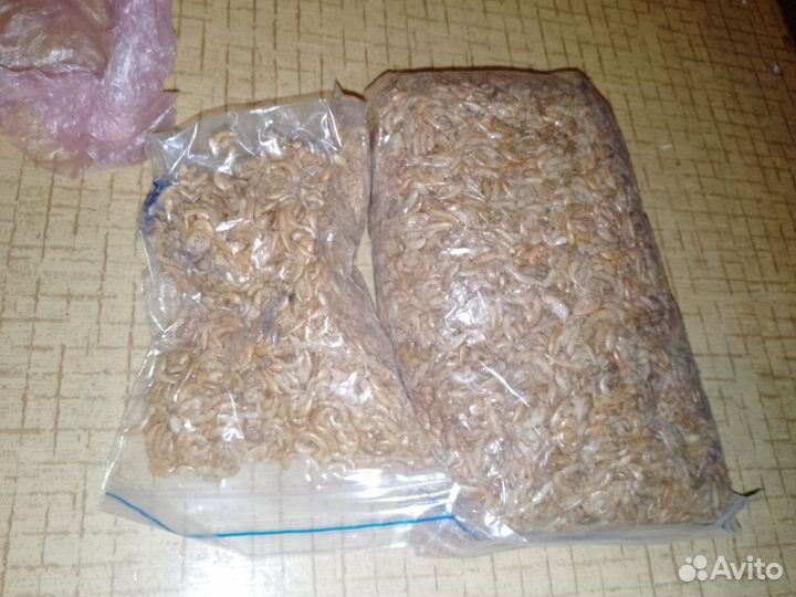 Комбикорм для черепах