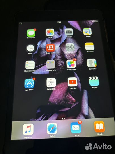 iPad mini 1