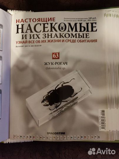 Коллекция: Журнал 