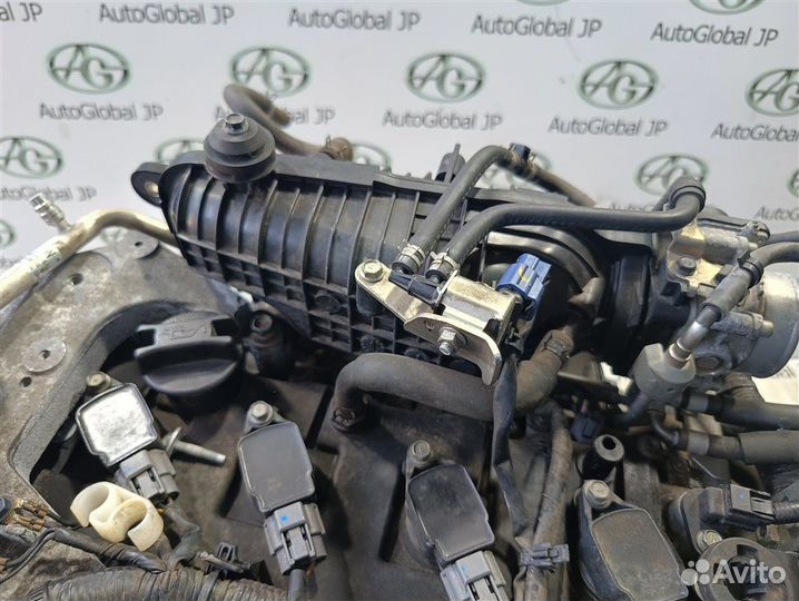 Двигатель Renault Koleos 2TR