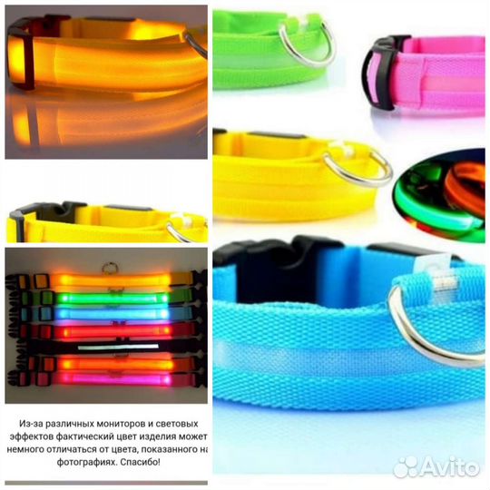 Аксессуары для собак