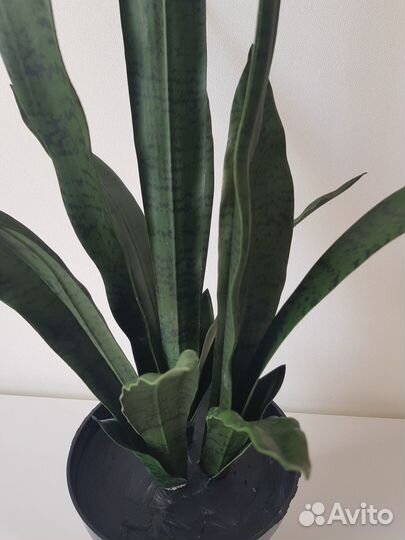 Искусственные цветы в горшке.Орхидея Замиокулькас