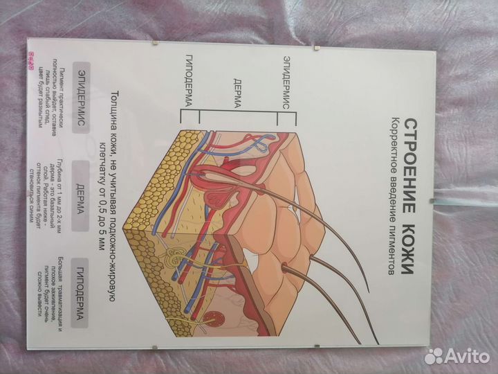 Плакаты для Перманента