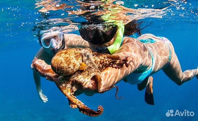 Романтичный отдых на Мальдивах