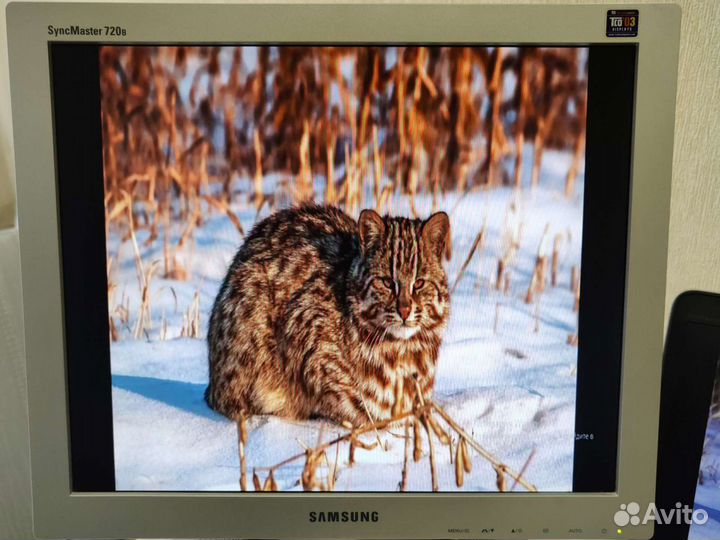 Монитор samsung SyncMaster 720b