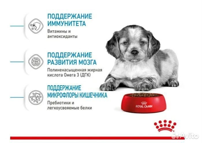 Корм для собак роял канин