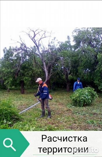 Расчистка. Полная уборка вашего участка под ключ