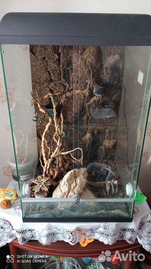 Террариум для рептилий
