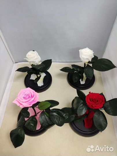 Роза в колбе оптом и в розницу