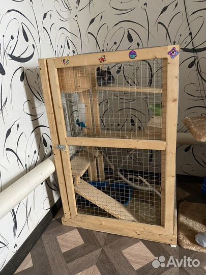 Шиншилла с клеткой