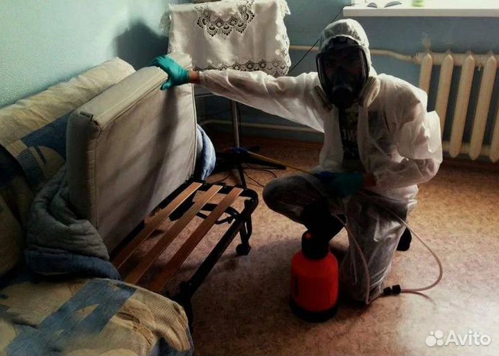 Средство для Уничтожения клопов Дезинсекции тараканов