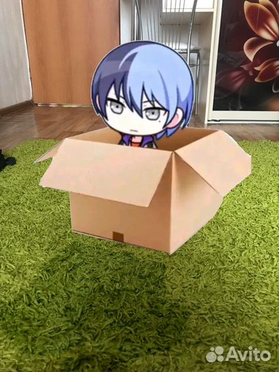 Тоя в коробке