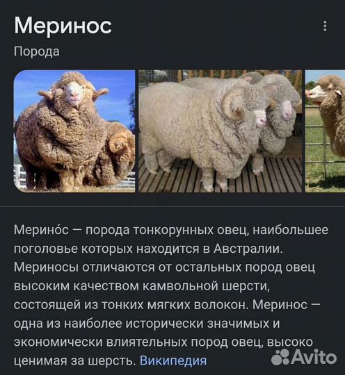 Одеяло и подушка из элитной шерсти мериноса