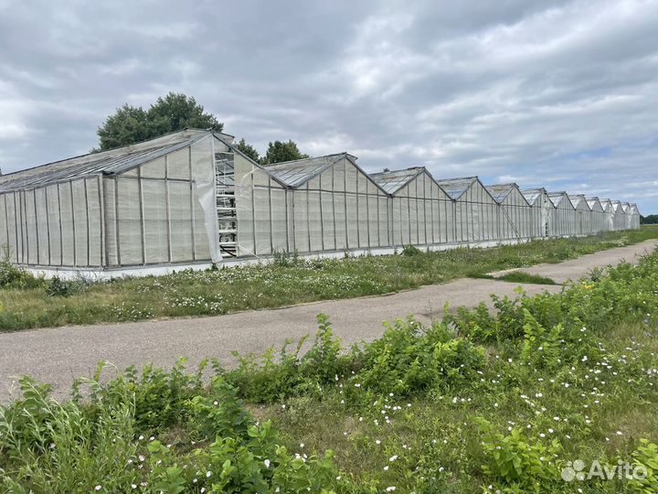 Теплицы антрацит 1 г