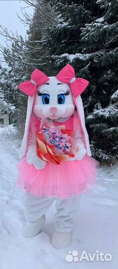 Поздравления от белого медведя