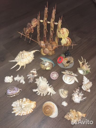 Сувениры из ракушек и ракушки