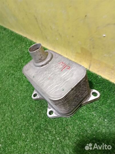 Радиатор масляный Volkswagen Tiguan NF 2011