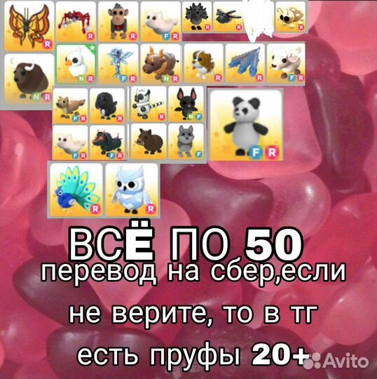 Петы адопт ми