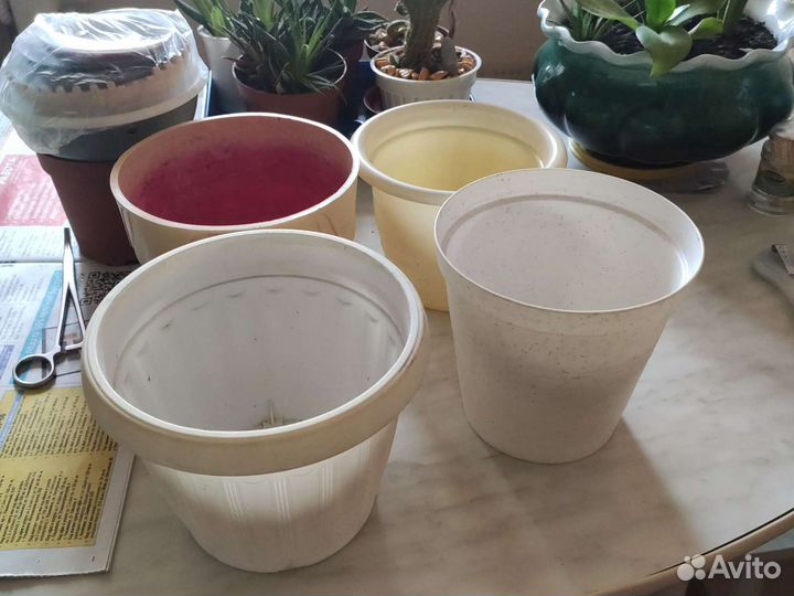 Горшки, лесенки, лейки