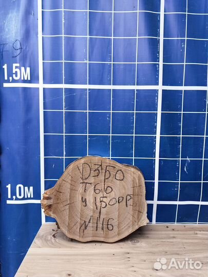 Спил карагач в наличии